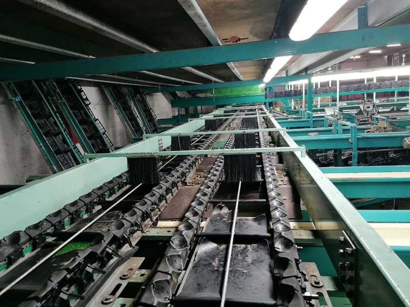 Sammo Four lines citrus sorting line