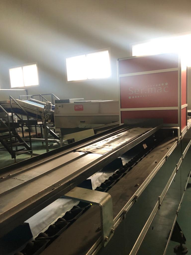 Sermac 1 line apple grading line