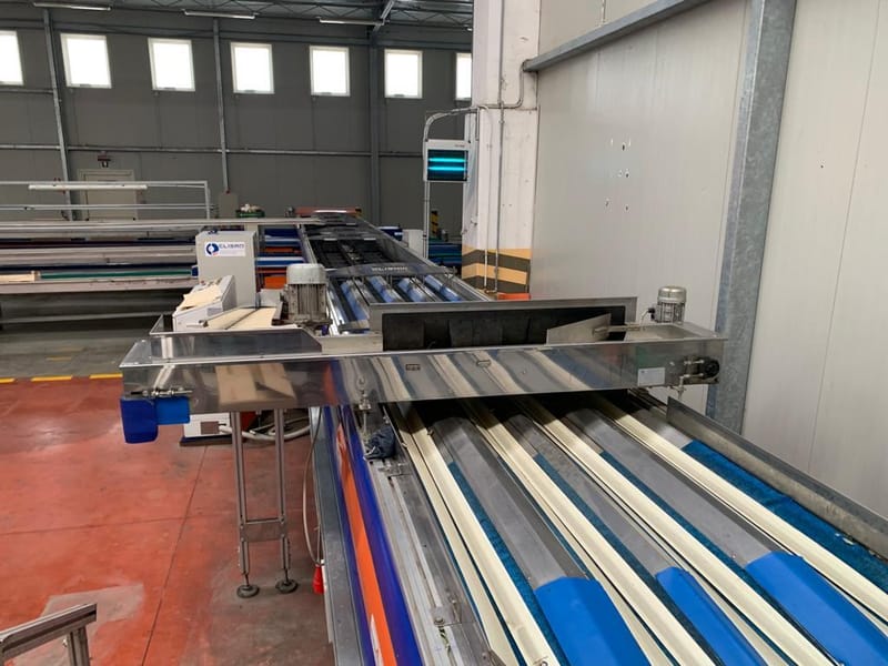 Elisam 4 lines apricot sorting line