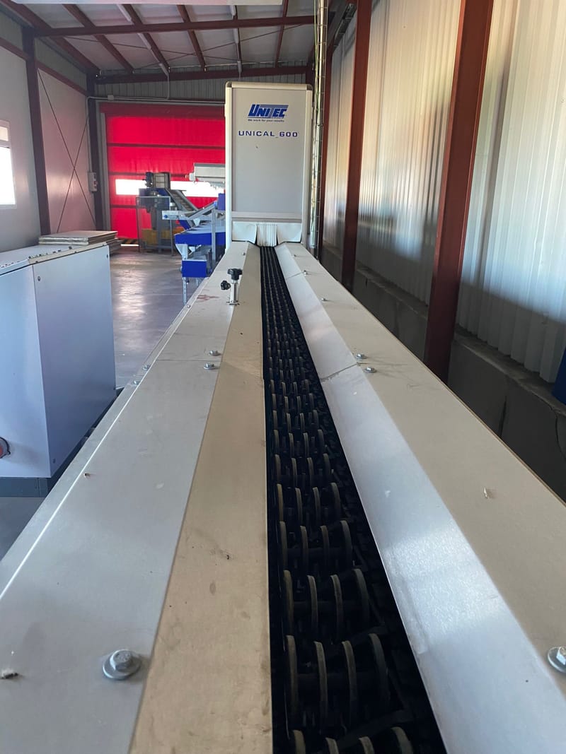 Unitec 1 line avocado sorting line