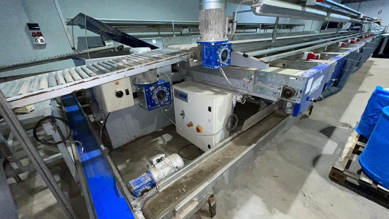 Unitec 2 lines avocado grading line