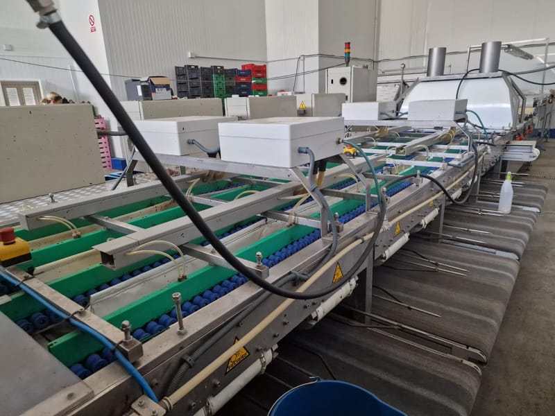 Multiscan 8 lines cherry grading line