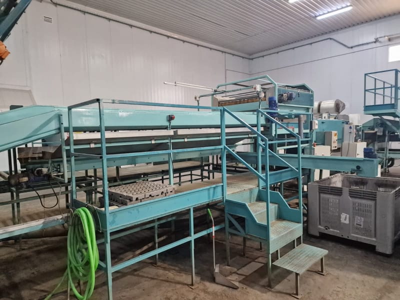 Sammo 4 can Peach sorting line