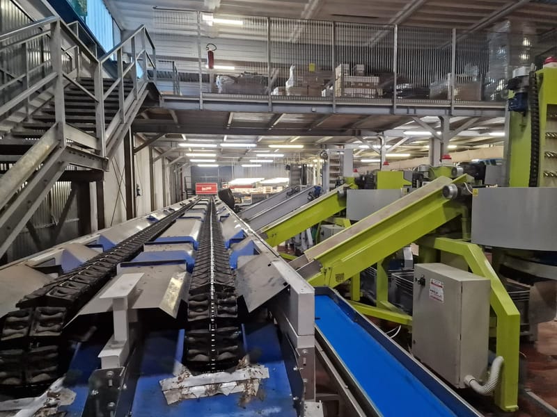 Sermac 4 lines apple grading line