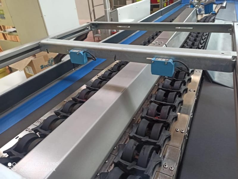 Compac 2 lines avocado grading line