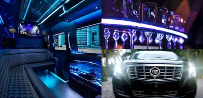 2013 Tourist Information for San Francisco