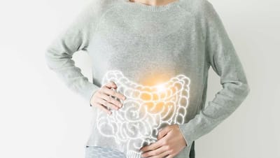 El estado del intestino repercute en la salud de todo el organismo