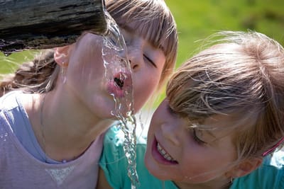 El agua en nuestro organismo: Esencial, vital...