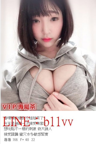 小隻馬系列