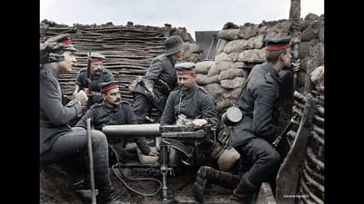 Heredero de la corona austriaca: Motivos de su asesinato.