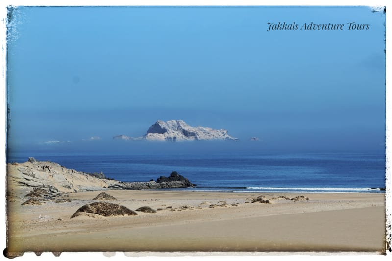 Saddle Hill Dunes