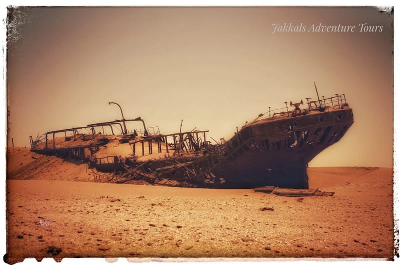 Faces of the Namib