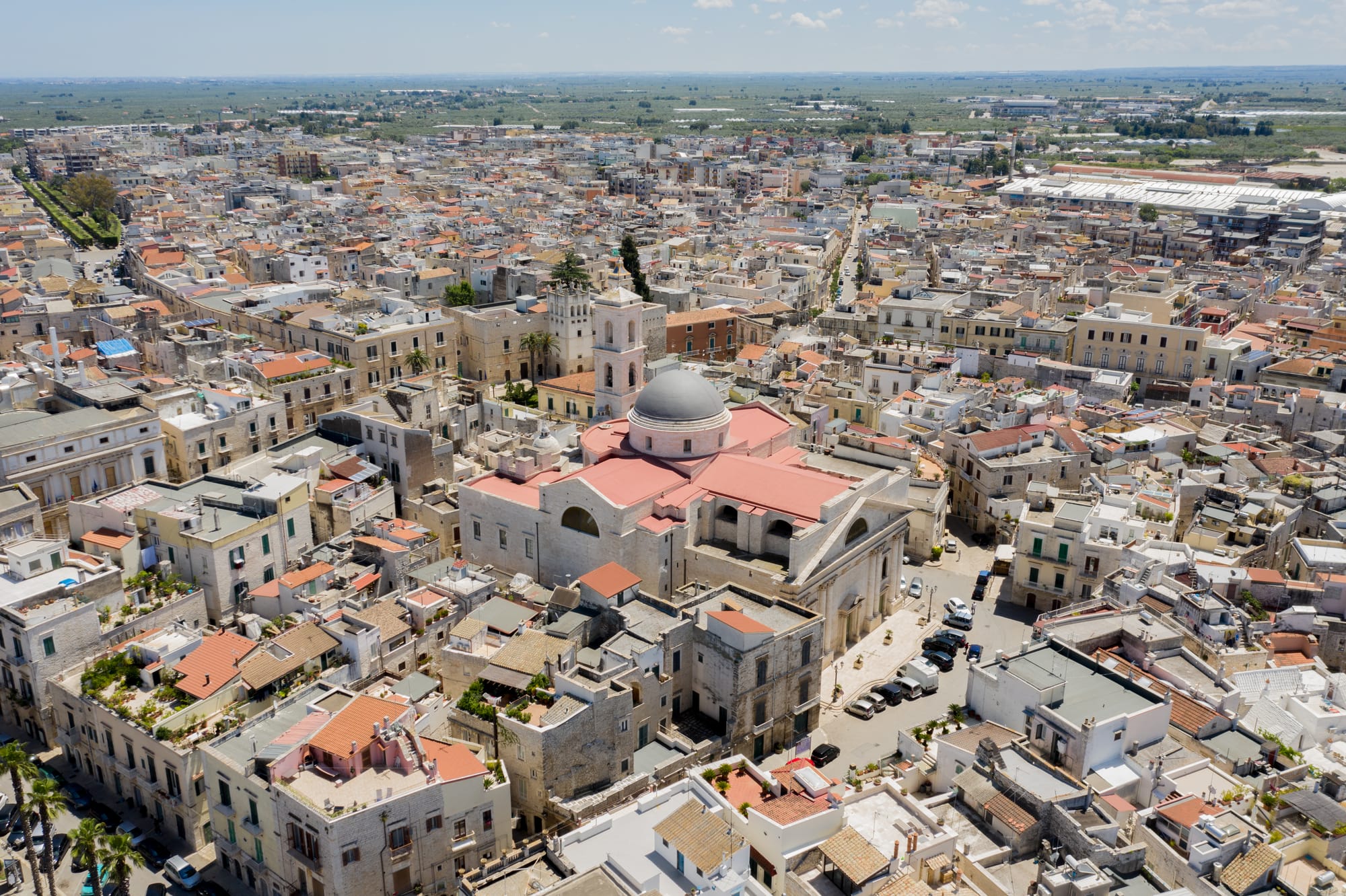 CATTEDRALE DI TERLIZZI