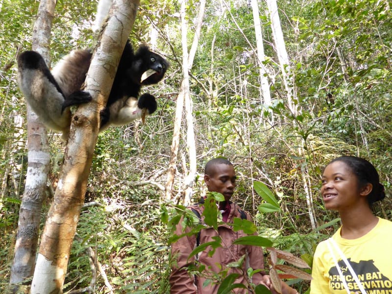 Women in Conservation