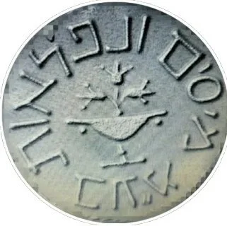 שירותי חשבות image