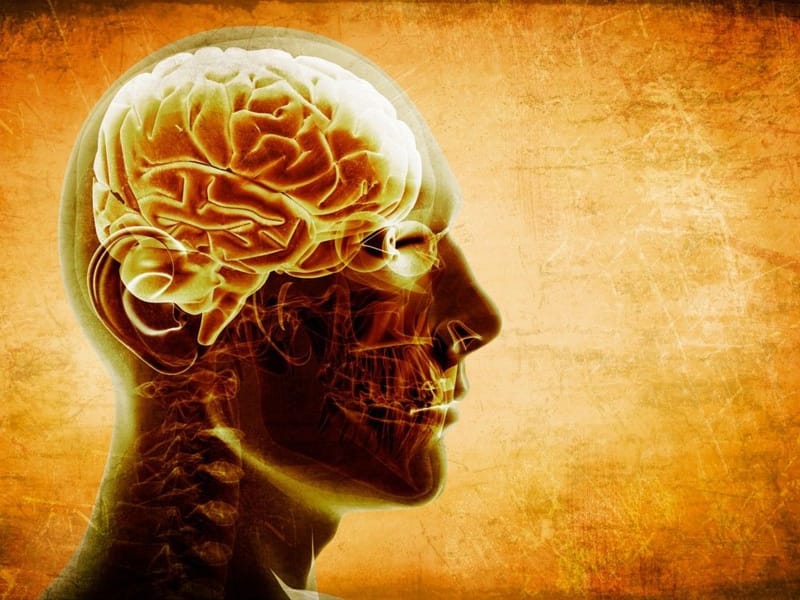 PERIODO 3.(SEMANA 21 Y 22). TERCER CORTE: ESCUELAS PSICOLÓGICAS (ESTRUCTURALISMO Y FUNCIONALISMO)