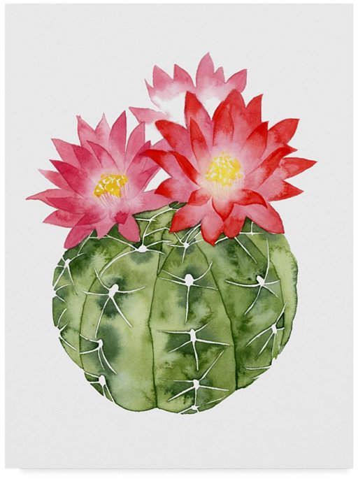 PERIODO 3.(SEMANA 23 Y 24). CUARTO CORTE: TÉCNICAS ARTÍSTICAS ACUARELA CON LÍQUIDO BLOQUEADOR (CAUCHOLA)