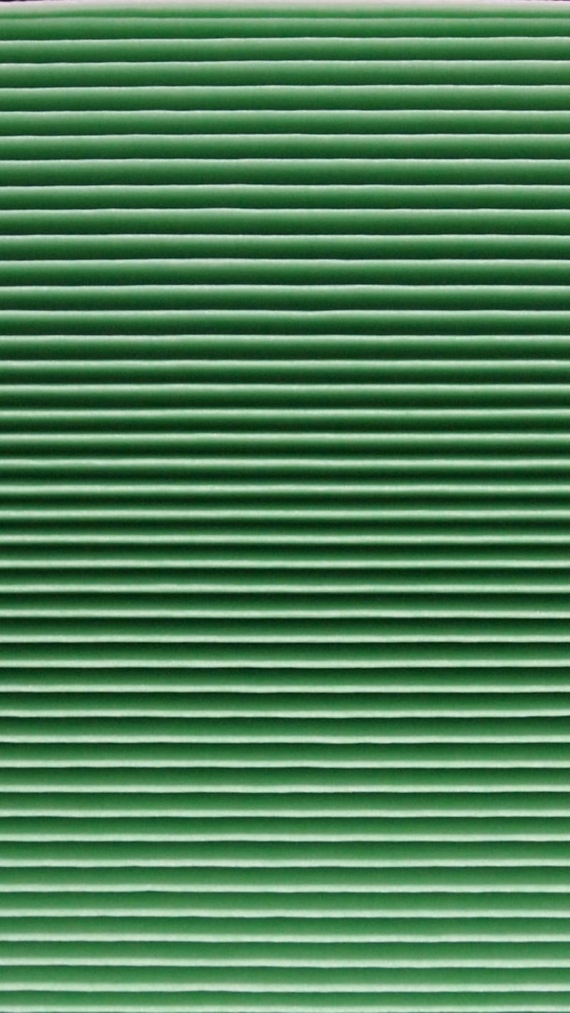 알레르겐 필터 (Allergen Filter)
