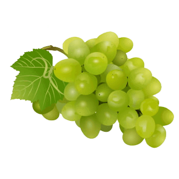 grapephoto