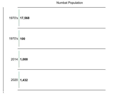 Math image