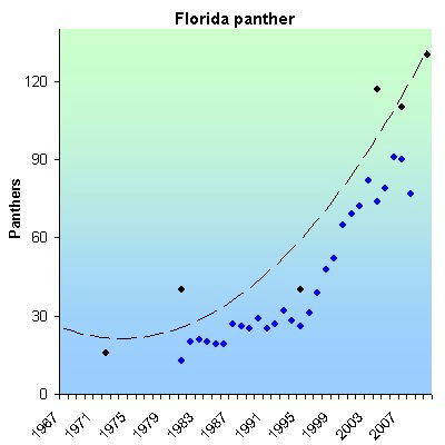 the florida panther population image