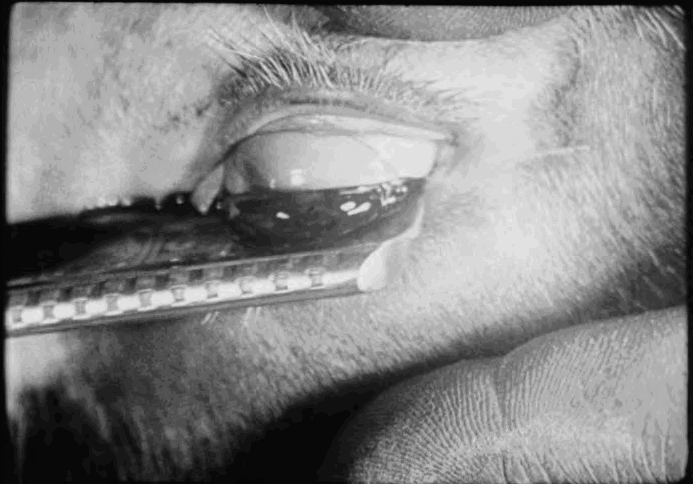 Un Chien Andalou (1928)