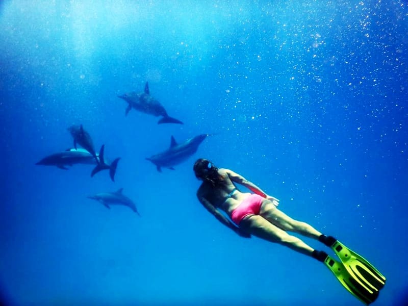 Rencontres d'inspiration delphinienne