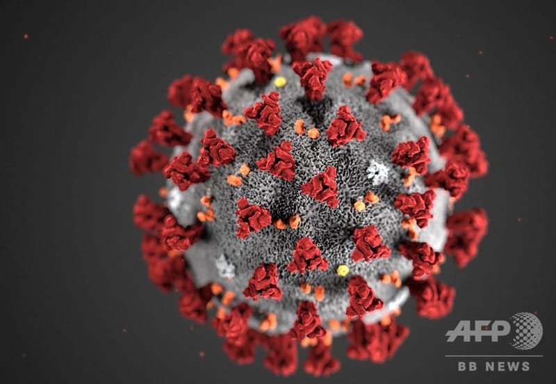 安くて良く効く日本の薬、ファビピラビルfavipiravir、アビガン錠®を認めず、外資の効果が怪しいレムデシベルを認可する。