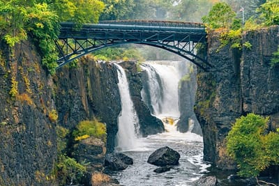 תנאים והגבלות image