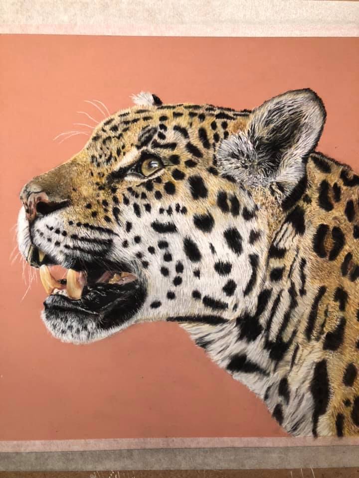 Jaguar