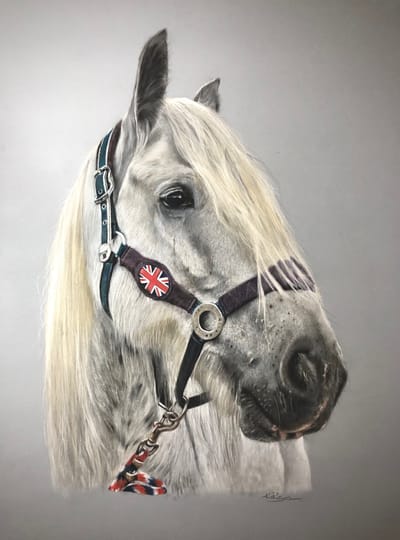 Portrait Prices image