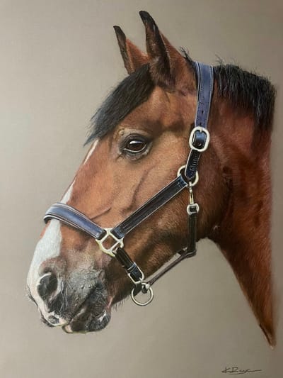 Portrait Prices image