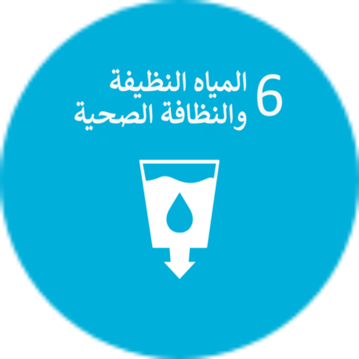 الهدف السادس