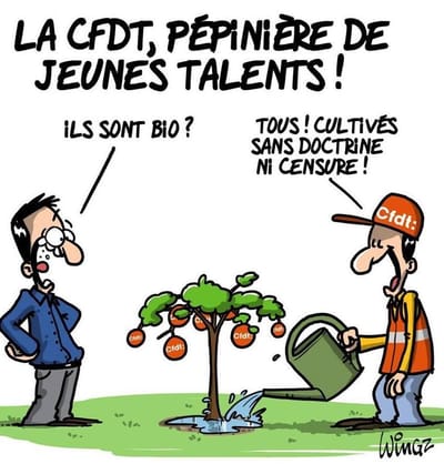  la CFDT image