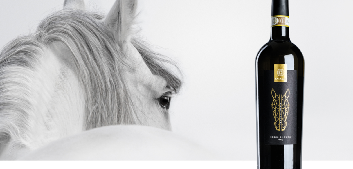 azienda vitivinicola