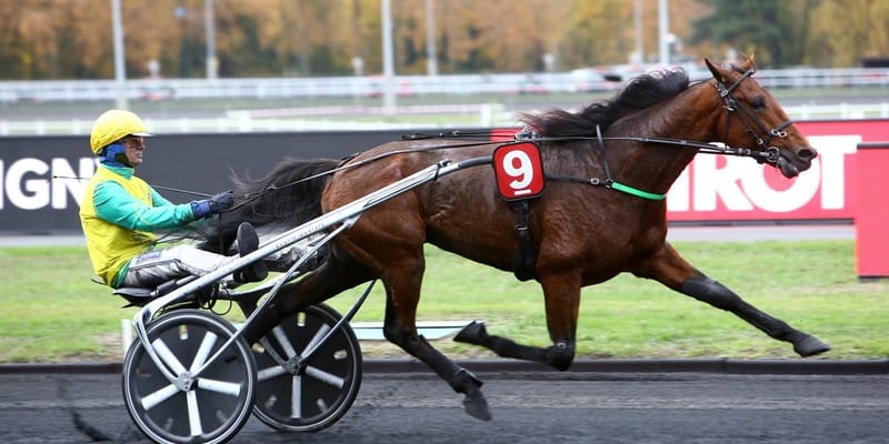 PAGINA FACEBOOK COLLEGATA AL SITO