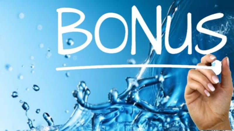 BONUS ACQUA POTABILE: DOVE INDICARLO NEL 730?