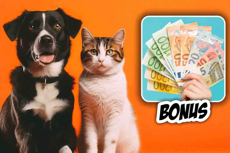 NUOVO BONUS PER LE SPESE VETERINARIE