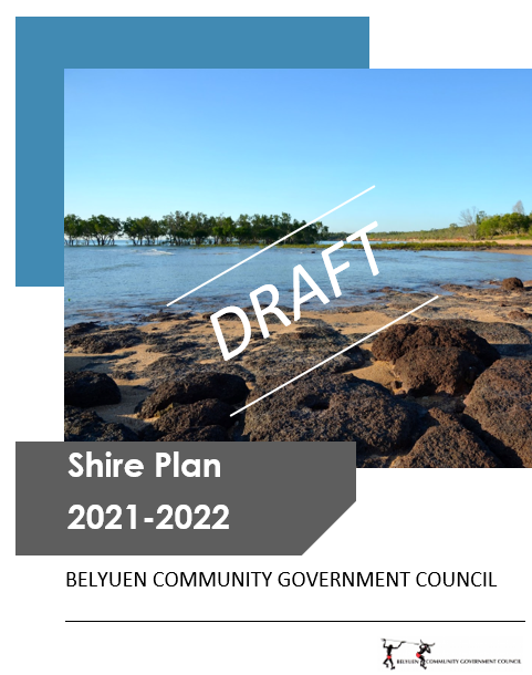Draft 2021-22 Shire Plan for Comment