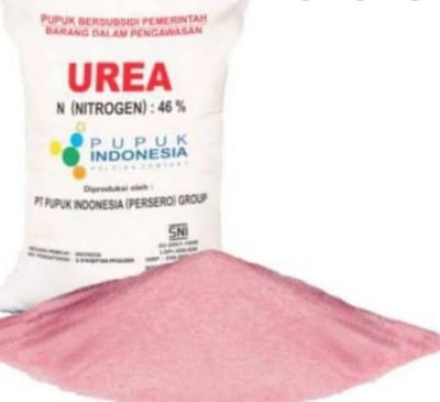 Keunggulan dan Kekurangan Pupuk Urea Serta Kandungannya