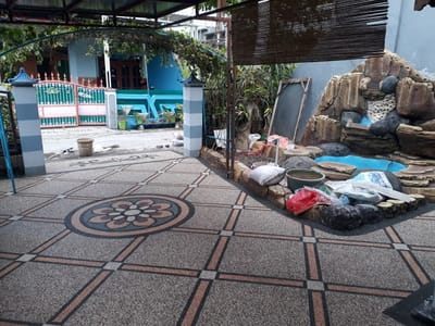 5 Referensi Merk Cat dinding Untuk Kolam Ikan