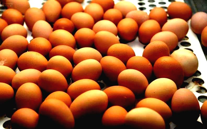 جودة المنتوج