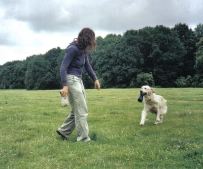 חינוך כלבים והכשרת כלבים טיפוליים בעזרת שיטת החינוך Natural Dogmanship- "שיטת הצייד"