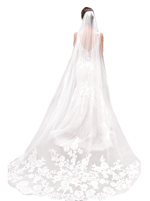 Yean Bridal Romantic Hair Veil with Lace,Floor Length Veils Wedding Cathedral Accessories with Comb for Women