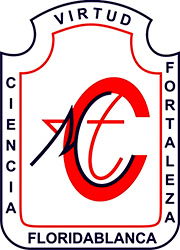 NOHORA VILLARREAL NIÑO