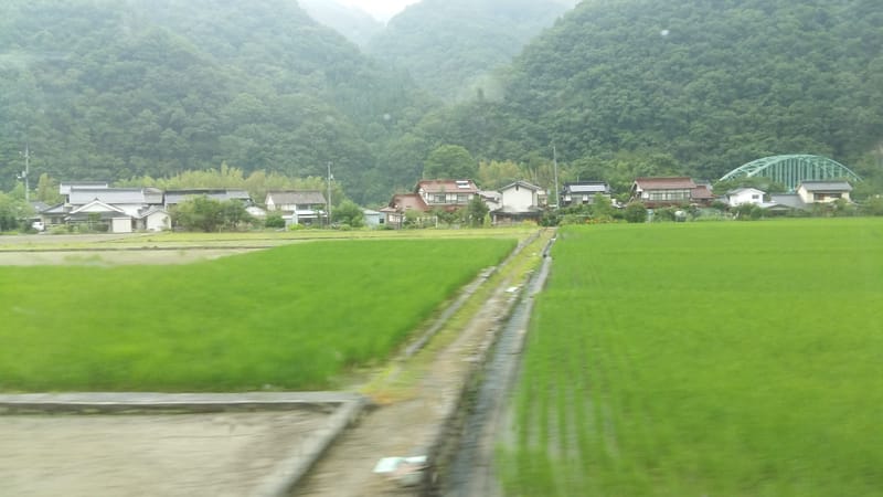 "Sustentabilidade está mais no discurso que prática, admitem executivos"