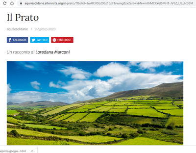 il terzo racconto della raccolta, "Il prato", è stato pubblicato su Aquile Solitarie