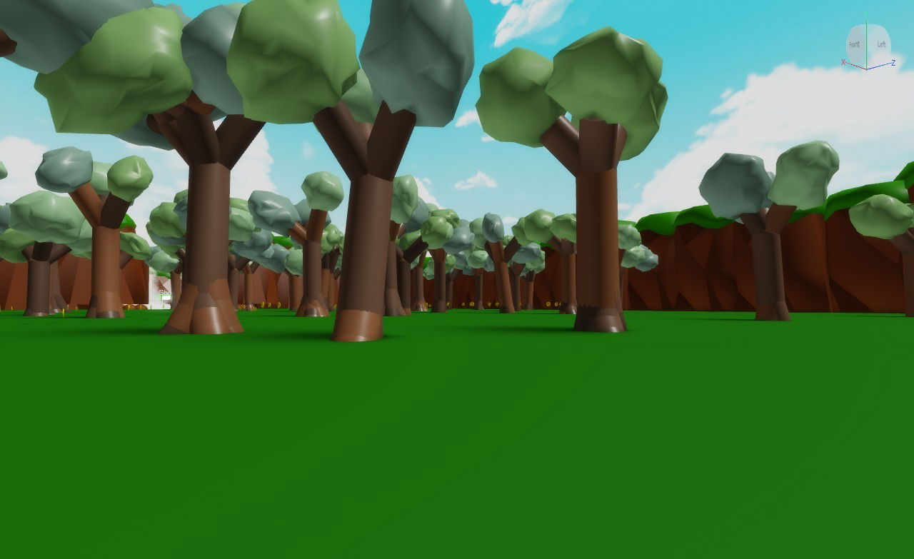 Forest