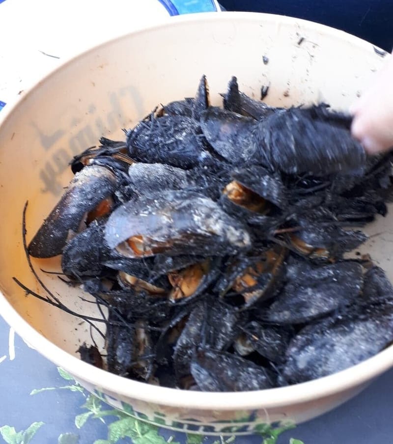 servir dans 1 assiette