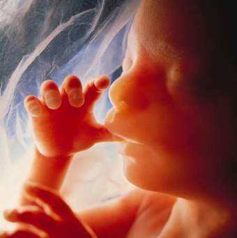 Crecimiento fetal y desarrollo